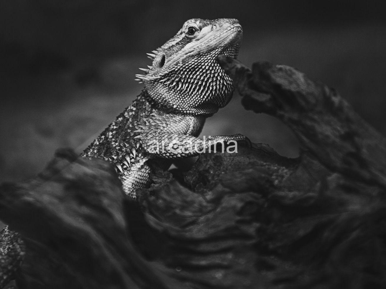 Foto-Estudio Fotometro - 43.jpg