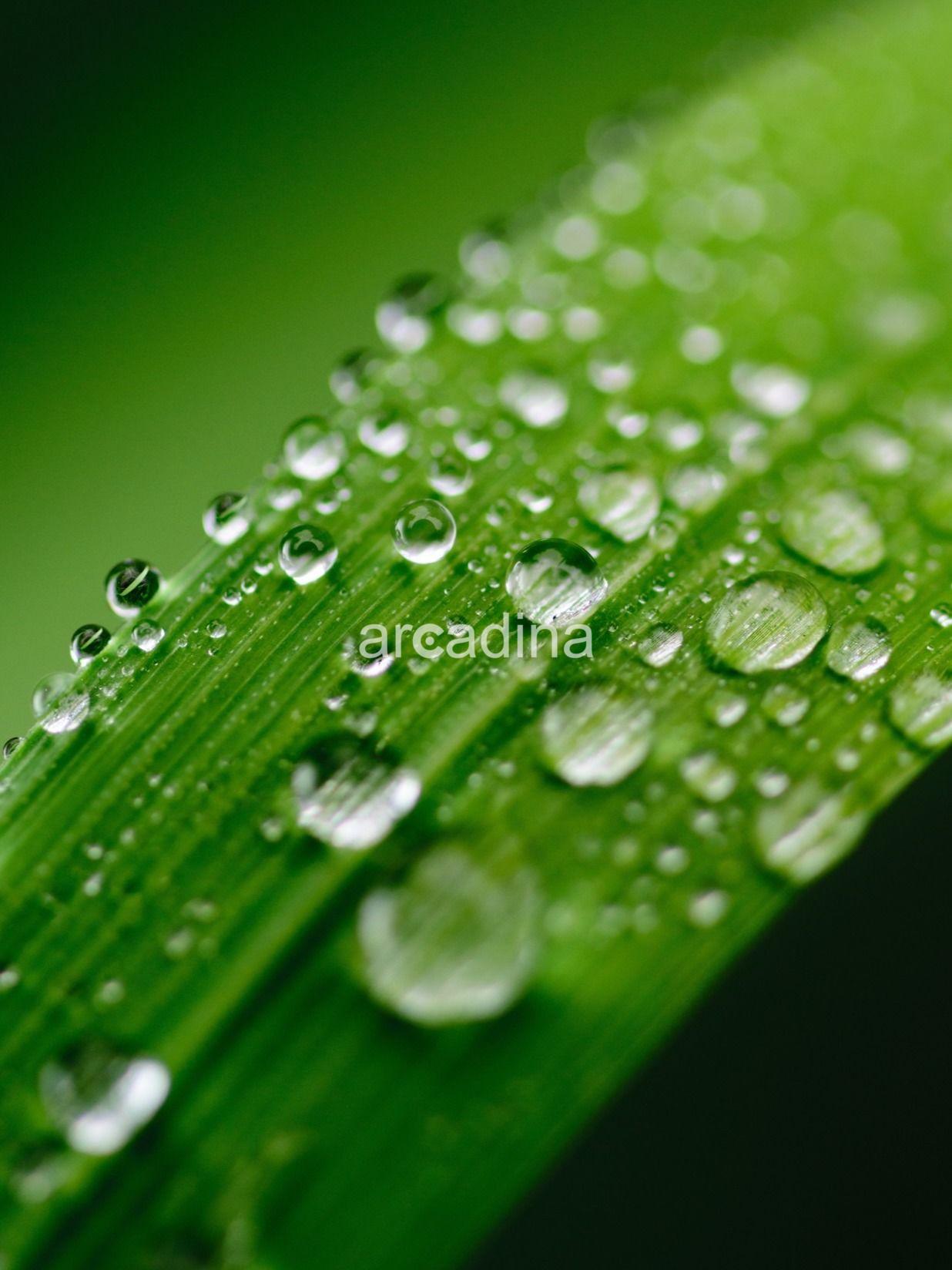 Foto-Estudio Fotometro - blur-bright-clean-459369.jpg